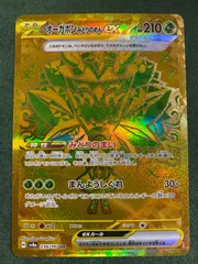 オーガポンみどりのめんex　UR