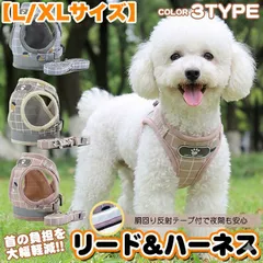 犬 猫 兼用 ハーネス リード付 ペット 服 ウェアハーネス 胴輪 キャット ドッグ メッシュ 【L/XLサイズ】 h0250