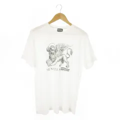 ディーゼル DIESEL T-JUST-D2 半袖Tシャツ クルーネック コットン プリント ヴェネツィア 獅子 M 白 ホワイト A05842 /AO18 ■GY03