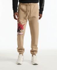 Item thumbnail for item 3b977bf0-bb61-449e-84ed-88bfa007c741