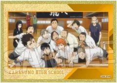 【新品】紙製品 13.烏野高校 場面写アクリル色紙プレミアム 「ハイキュー!!」