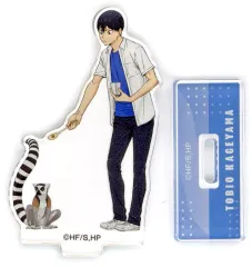 【中古】アクリルスタンド・アクリルパネル 影山飛雄(全身) 「ハイキュー!!×東武動物公園2025 描き下ろし 動物とのふれあいver. トレーディングアクリルスタンド」