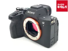 2026年最新】sonyα7ivの人気アイテム - メルカリ