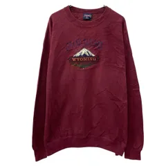 USA製 JANSPORT ロゴスウェット トレーナー XXL ワインレッド ジャンスポーツ プルオーバー ワンポイント スウェット 秋物 a803-5053