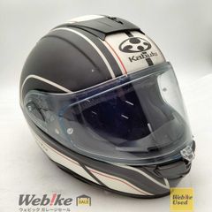 Schuberth S1モデル　シューベルト　ノルディック・ドラゴンデザイン Schuberth S1モデル シューベルト ノルディック・ドラゴンデザイン