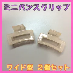 c043【新品・未使用品】ミニバンスクリップ ワイド型 ２個セット ピンク ミニヘアクリップ クリアカラー バレッタ 前髪クリップ ヘアアクセサリー 韓国 髪留め 髪飾り まとめ髪 あみこみ 三つ編み プチサイズ きれいめ レディース 女性 女子 アクセント