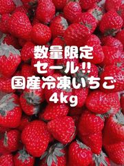 【減農薬】青森県産　大玉夏イチゴ　4kg　いちご　訳あり　加工用　クール便 減農薬】青森県産 大玉夏イチゴ 4kg いちご 訳あり 加工用 クール便