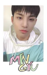 SEVENTEEN MINGYU 2020 4TH FAN MEETING CARAT LAND ポラロイドカード 名前