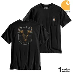 カーハート Tシャツ Carhartt Irvine Relaxed Skull T-Shirt バックプリント リラックスフィット USAモデル  大きいサイズ  [107450]