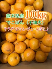 訳ありでこぽん 不知火 10kg ジャムやジュースに！