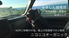 ゆきしん様専用