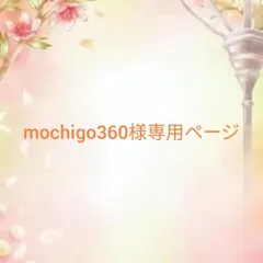 mochigo360様専用ページ
