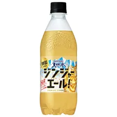 サントリー 天然水 特製ジンジャーエール 500mlペットボトル×24本入| 送料無料 炭酸 ジンジャーエール ジンジャエール ストック ドリンク 飲料 ソーダ サイダー ケース買い まとめ買い 業者 仕入れ 大量 炭酸水 飲料水 備蓄のサムネイル