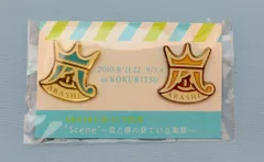 嵐 10-11年 scene 君と僕の見ている風景 国立)ピンバッジ 金