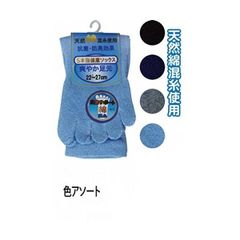 Item thumbnail for item 0848c530-1bda-4ad1-9a23-dbd1f22d889c