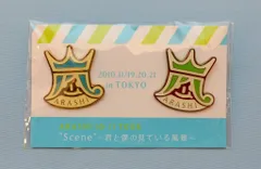嵐 10-11年 scene 君と僕の見ている風景 東京)ピンバッジ *緑