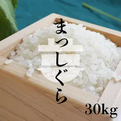 ＼特別価格／ 青森県産 7年産  まっしぐら 白米30kg（5kg×6）【米30キロ】12607のサムネイル
