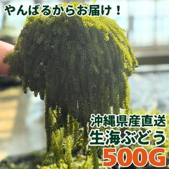 希少・香り高い！】山形県産 花山椒 約80g（クール便発送）送料込み