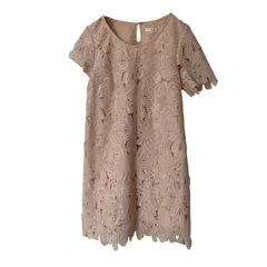 【美品】Vis ビス 総レースワンピース ミニ丈 花柄刺繍 Aライン ピンク サイズM【ZK98】