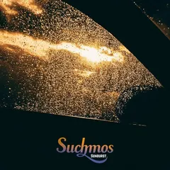 2026年最新】Suchmos レコードの人気アイテム - メルカリ