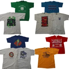 古着卸 まとめ売り シングル 半袖Tシャツ 10枚セット (メンズ L ) USA製 プロチーム アニマル フルーツオブザルーム 中古 古着 ND9751