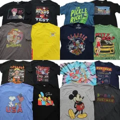 古着卸 まとめ売り キャラクター 半袖Tシャツ 16枚セット (メンズ L ) ミッキー スポンジボブ ナルト スヌーピー 中古 古着 ND9768