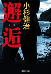 邂逅 (集英社文庫)