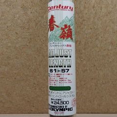 Item thumbnail for item 8c02826d-3caa-406d-83e0-f72dcb725e9a