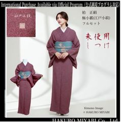 正絹】袷 江戸更紗 小紋 フルセット 4点 しつけ 未使用級 上品コーデ