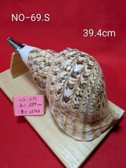 NO−68.S 法螺貝#金具入り#ほら貝#ホラ貝#修験道#和楽器 - メルカリ