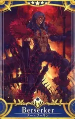 【中古】Fate [☆☆☆☆☆]：【第3段階】クー・フーリン〔オルタ〕