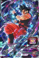 2026年最新】bm7-sec孫悟空の人気アイテム - メルカリ