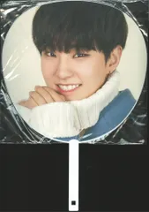 SEVENTEEN '17 JAPAN CONCERT Say the name #SEVENTEEN HOSHI うちわ