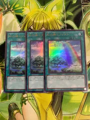 遊戯王 虹の橋 ビフレスト 3枚セット