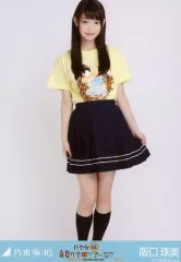【中古】生写真(乃木坂46) 阪口珠美/全身(見切れ)・ライブT/乃木坂46 真夏の全国ツアー2017 大阪ver. 会場限定ランダム生写真