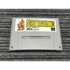 スーパーファミコン カセット ソフト ダービースタリオン2  SFC （5）