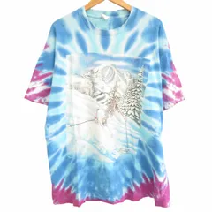 フルーツオブザルーム FRUIT OF THE LOOM ヴィンテージ 90s アメリカ製 グレイトフルデッド GRATEFUL DEAD バンドTシャツ バンT カットソー プリント シングルステッチ スカル タイダイ 半袖 青 白 紫 水色 XL