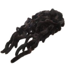 Item thumbnail for item 6df9056b-dbf4-4db1-ab13-8f481f7c8740