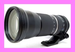 □憧れの白レンズ 手振れ付 望遠 Canon EF 300mm F4 L IS USM □憧れの白レンズ 手振れ付 望遠 Canon EF 300mm F4 L IS USM