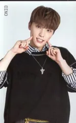 SEVENTEEN 2018 IDEAL CUT IN SEOUL DINO トレーディングカード 0013