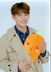 アニメDVD 川尻善昭 SPECIAL DVD-BOX - メルカリ