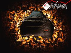 Item thumbnail for item 6053b33f-5f06-4506-bb46-873b9b181a9e