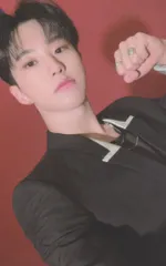 SEVENTEEN POWER OF LOVE HOSHI トレーディングカード 0080