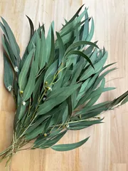 ユーカリ　ドライフラワー　3.2-2