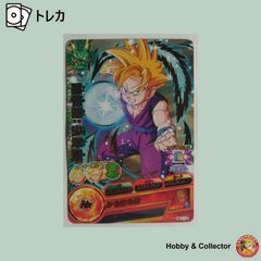 ドラゴンボール カードダスめちゃんこプロジェクト2000枚限定 No.5 孫