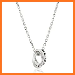 【新品】 [ライオンハート] サージカルステンレス ネックレス 03NE0415SV 1