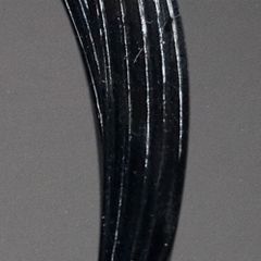 Item thumbnail for item 65977461-cb1c-4709-bbc7-d4933eaa9c7d