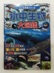 サンチャイルド ビッグサイエンス ぎょ！おどろきのしんかいぎょ