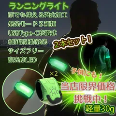 ランニングライト お得 2本セット アームバンド ウォーキングライト ネオングリーン 高輝度 LED Type-C 充電式 散歩 夜 事故防止 安全対策 子供 子ども 交通安全 02507010041のサムネイル
