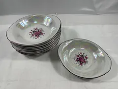 カレー皿　9点セット　皿　花　食器　料理　カレー　昭和レトロ　昭和　レトロ